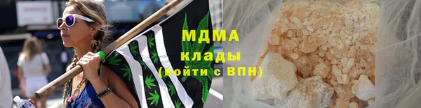 ГАЛЛЮЦИНОГЕННЫЕ ГРИБЫ Дмитриев