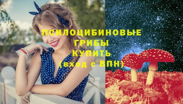 крисы Армянск