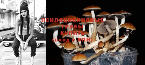 кокс Аркадак
